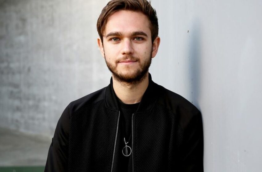  Zedd fortune